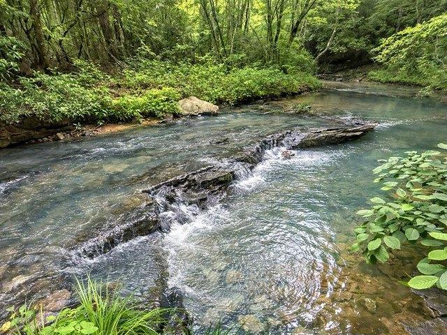 Land for sale in Pickens, Georgia