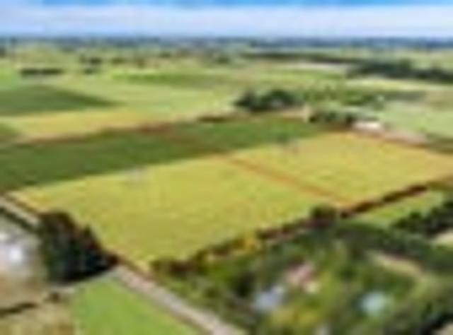 Land for sale in Leeston, Canterbury