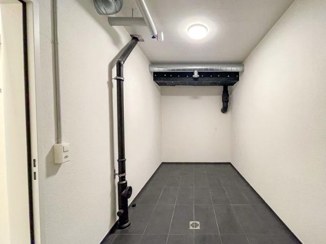 Wohnung mieten in Oberwil bei Zug, Zug