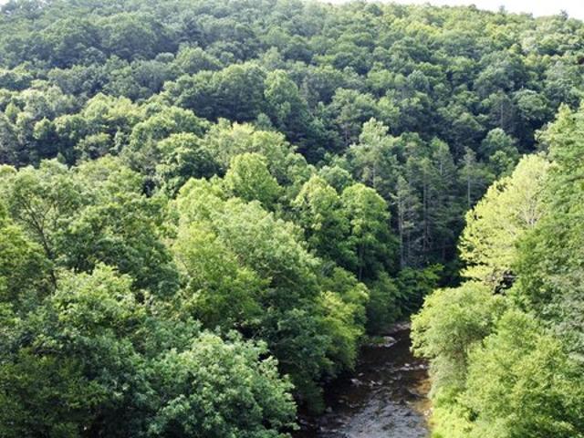 Land for sale in Buckeye, West Virginia