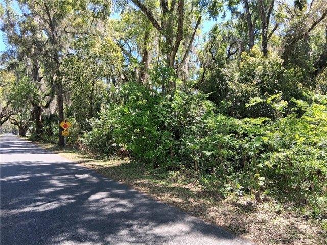 Land for sale in Webster, Florida
