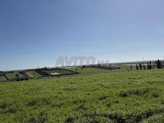 Propriété vente à El Ma, Gharb-Chrarda-Beni Hssen