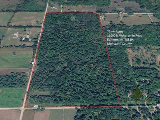 Land for sale in Edmore, Michigan