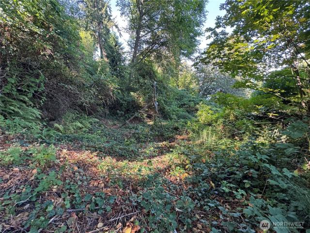 Land for sale in Vashon, Washington