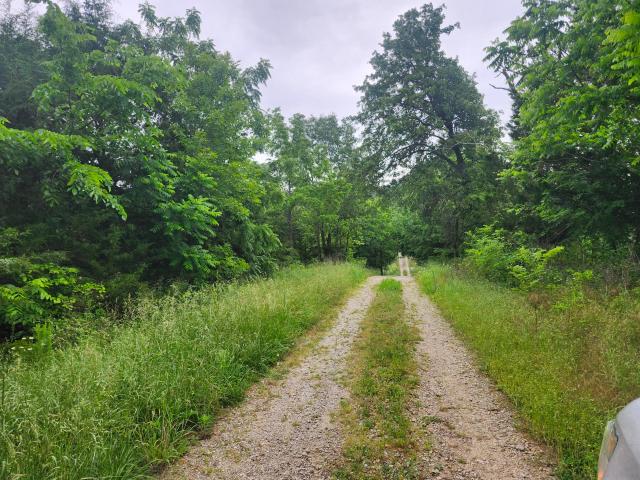 Land for sale in Mountain Grove, Missouri