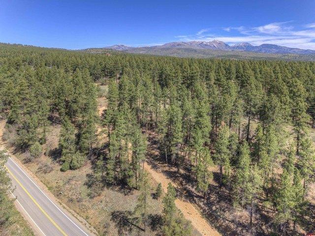 Land for sale in La Plata, Colorado