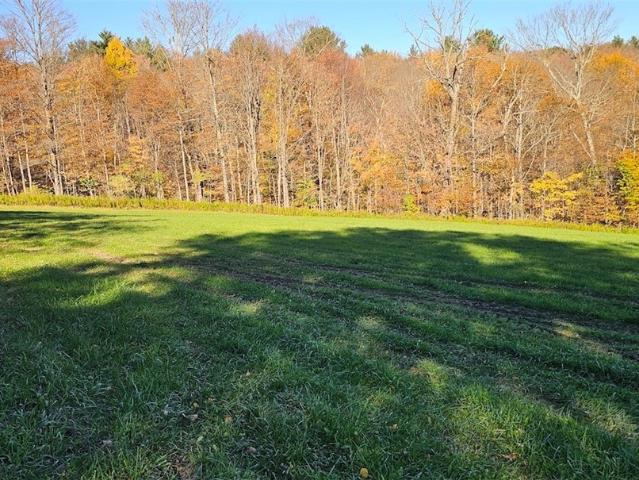 Land for sale in Town of Lapeer, Cortland County
