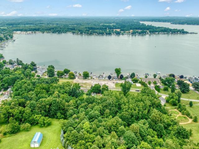 Land for sale in Rollin, Michigan