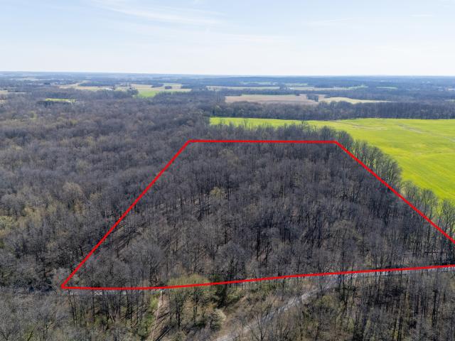 Land for sale in Raleigh, Illinois
