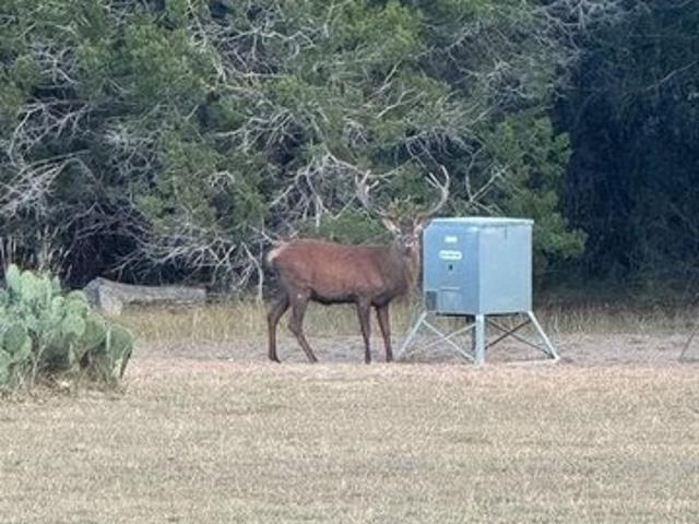 Farm for sale in Bandera, Texas