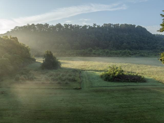 Farm for sale in Tennessee