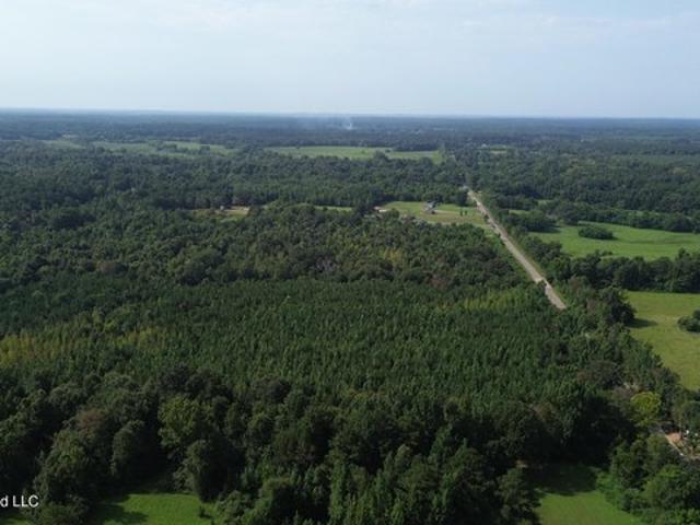 Land for sale in Canton, Mississippi