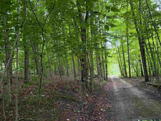 Land for sale in East Jordan, Michigan