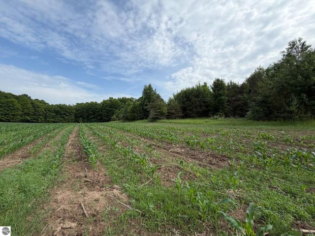 Land for sale in Michigan