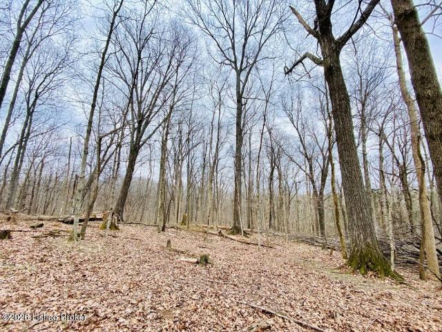 Land for sale in Harrodsburg, Washington County