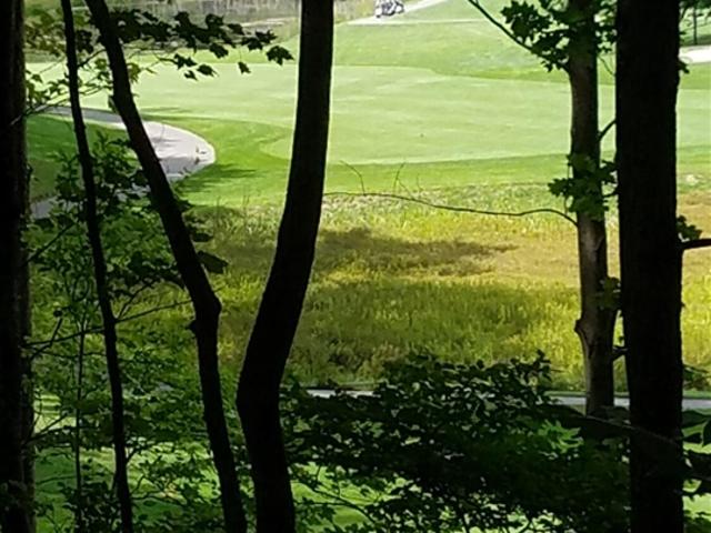 Land for sale in Michigan