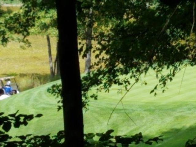 Land for sale in Stanwood, Michigan