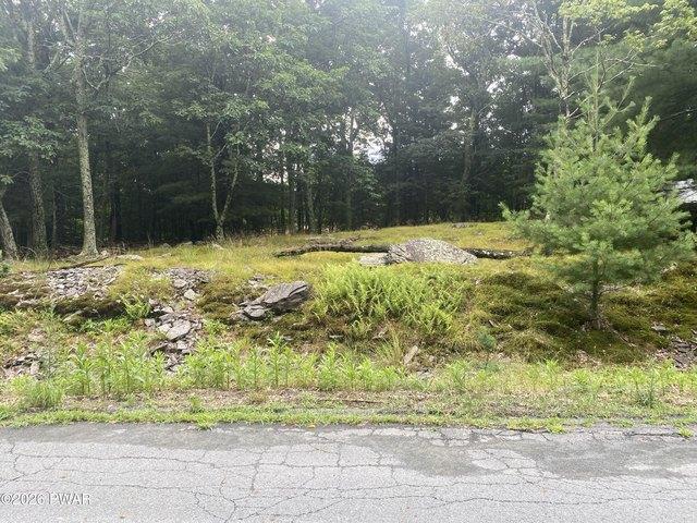 Land for sale in Milford, Pennsylvania