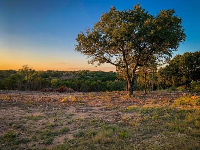 Land for sale in Nemo, Texas