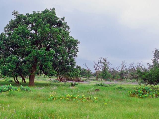 Land for sale in Doss, Texas