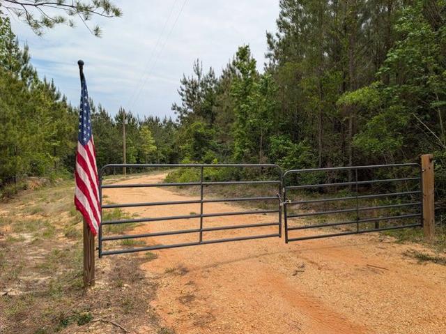 Land for sale in Georgiana, Alabama