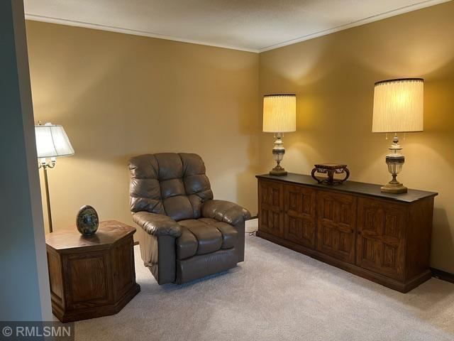House for sale in Minnesota