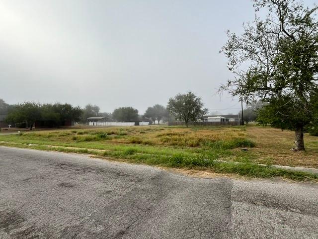 Land for sale in Hebbronville, Jim Hogg County