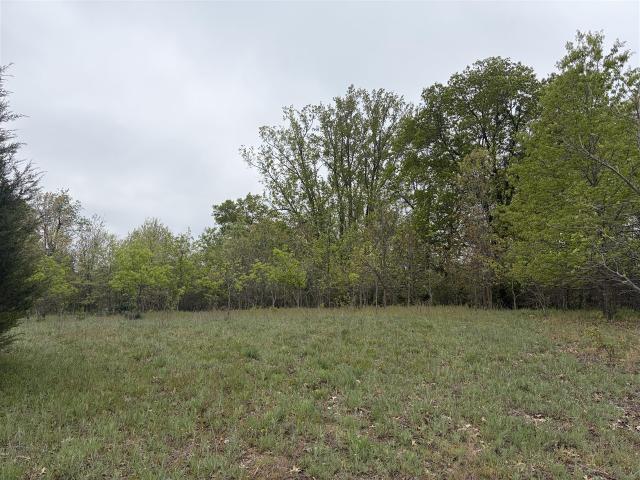 Land for sale in Michigan