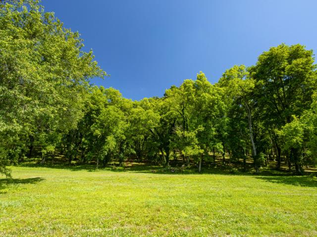 Land for sale in Tennessee