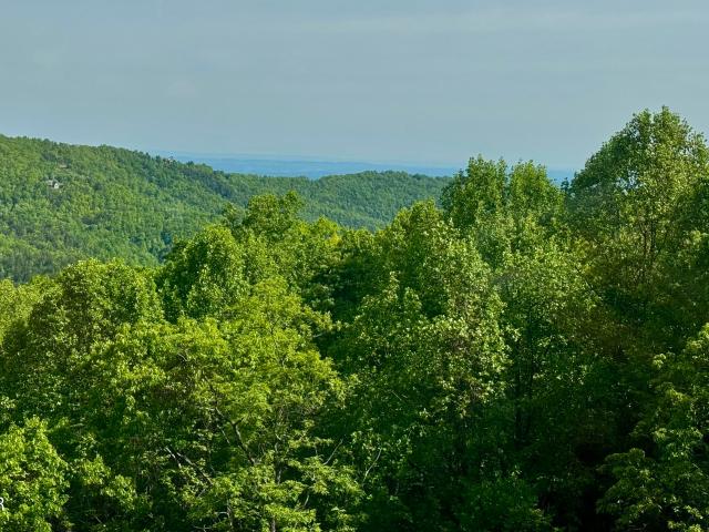 Condo for sale in Tennessee