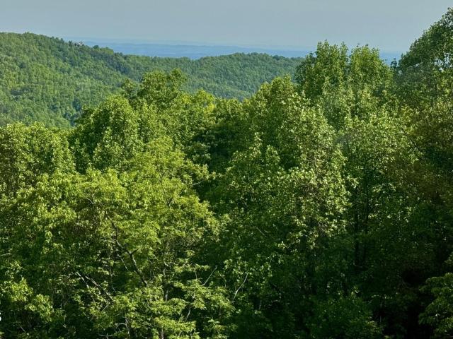 Condo for sale in Gatlinburg, East Tennessee
