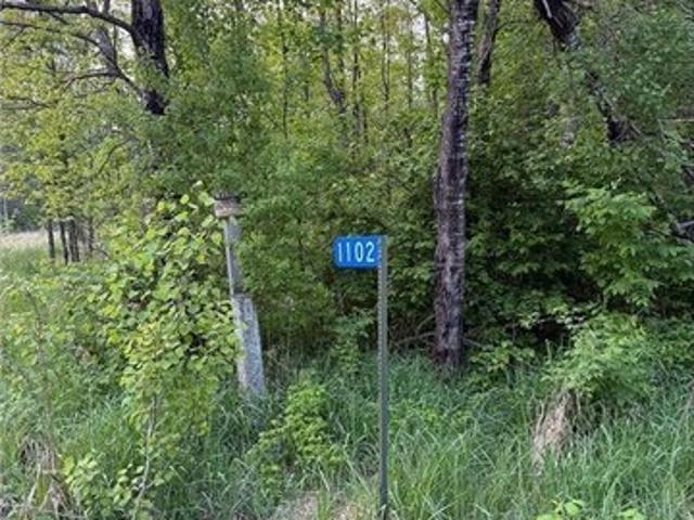 Land for sale in Tamarack, Minnesota