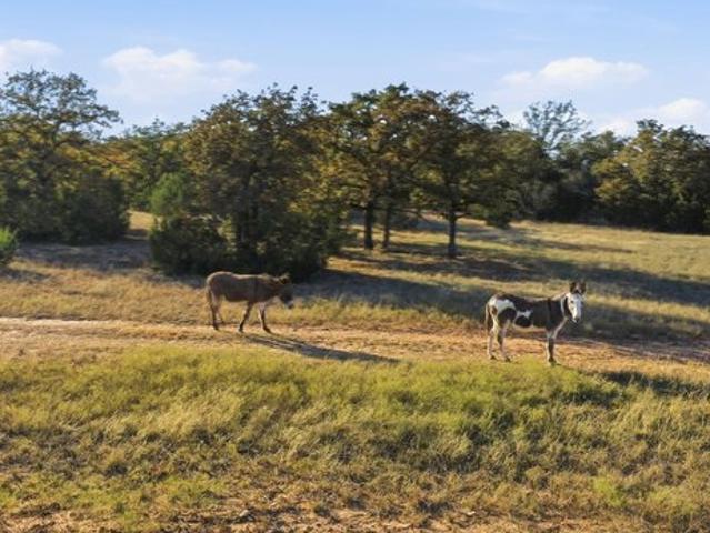 Land for sale in Hood, Texas