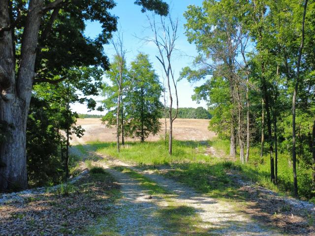 Land for sale in Madison, Missouri