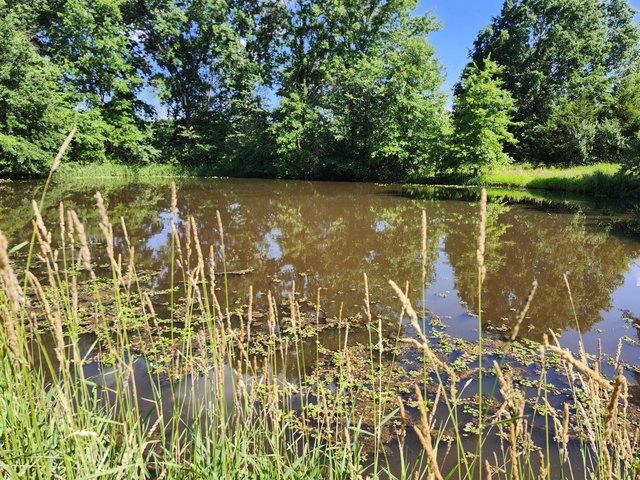 Land for sale in Madison, Missouri