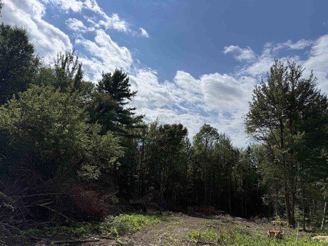 Land for sale in Eden, Vermont