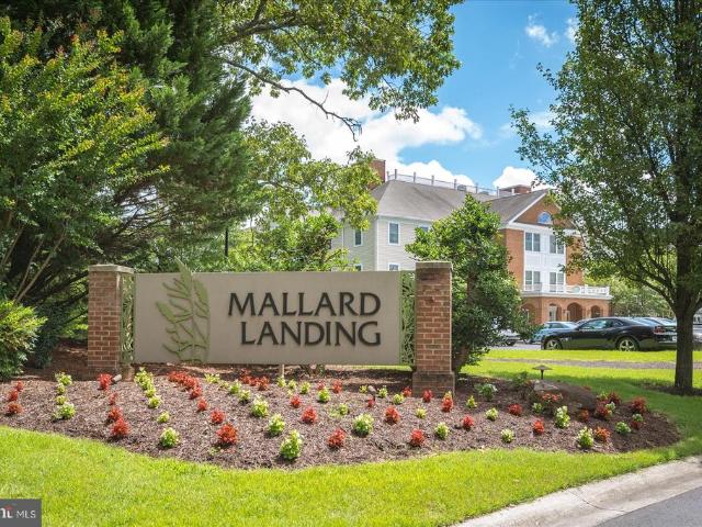 Condo for sale in Salisbury