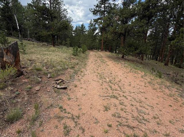 Land for sale in Teller, Colorado