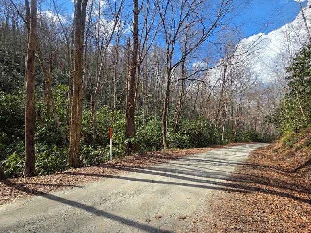 Land for sale in Graham, North Carolina