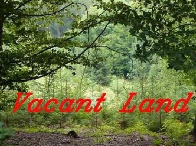 Land for sale in Palos Hills, Illinois