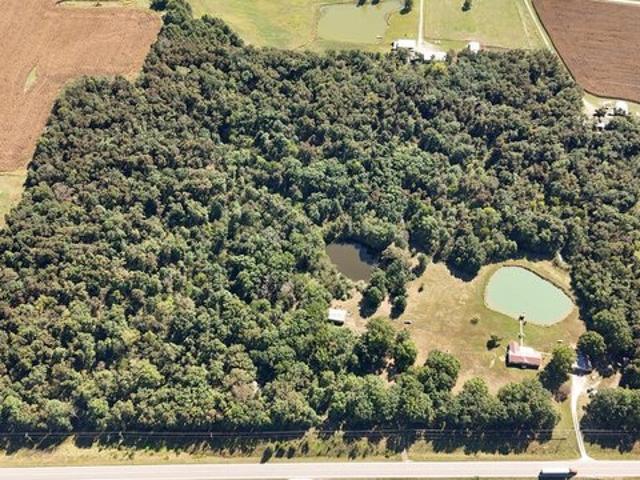 Farm for sale in Madison, Monroe County