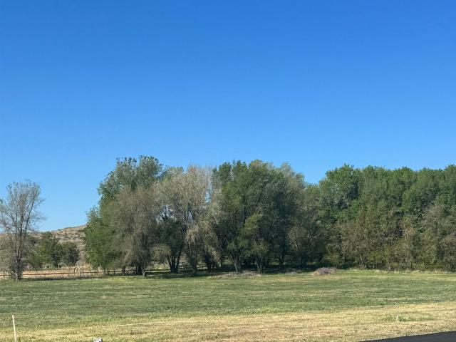 Land for sale in Buhl
