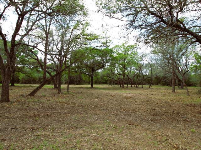 Land for sale in Sheridan, Texas