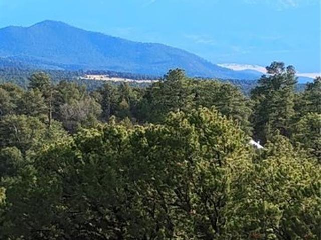 Land for sale in Cotopaxi, Colorado