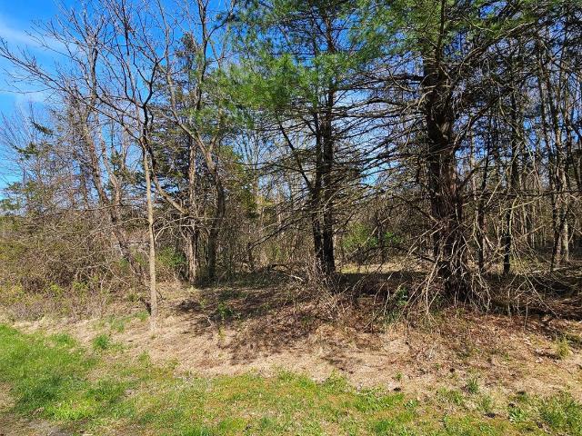 Land for sale in Coxsackie, New York