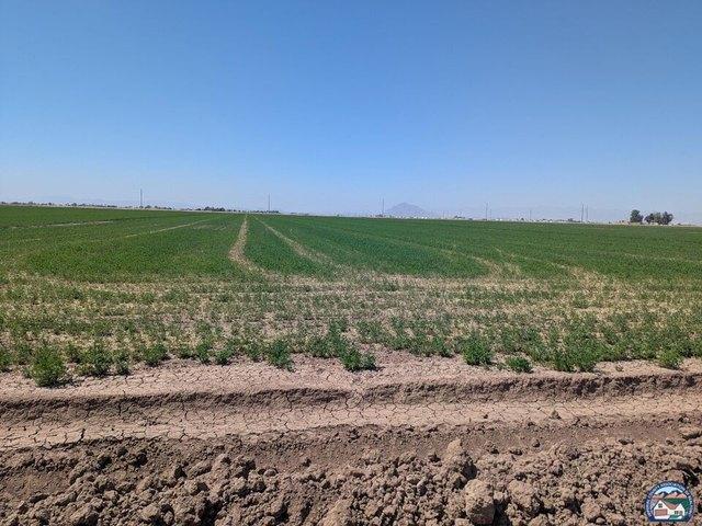 Land for sale in Seeley, California
