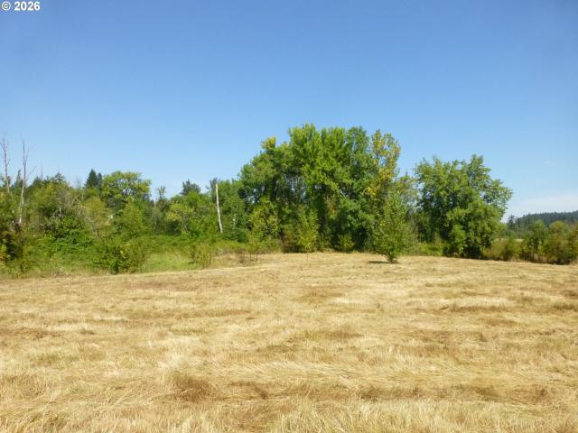 Land for sale in Oregonia