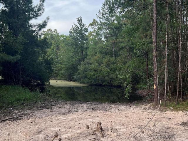 Land for sale in Lumberton, Hardin County