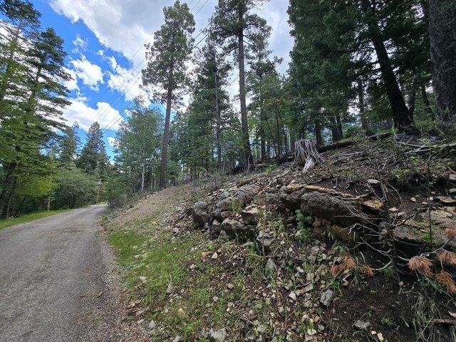 Land for sale in Cloudcroft, New Mexico