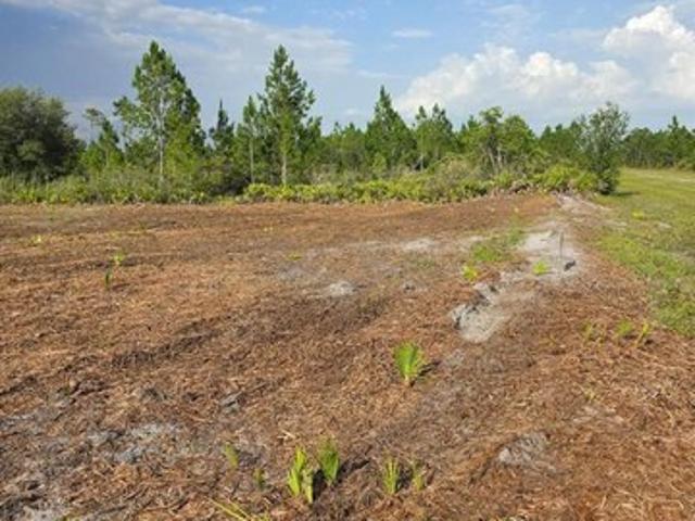 Land for sale in Indian Lake Estates, Florida